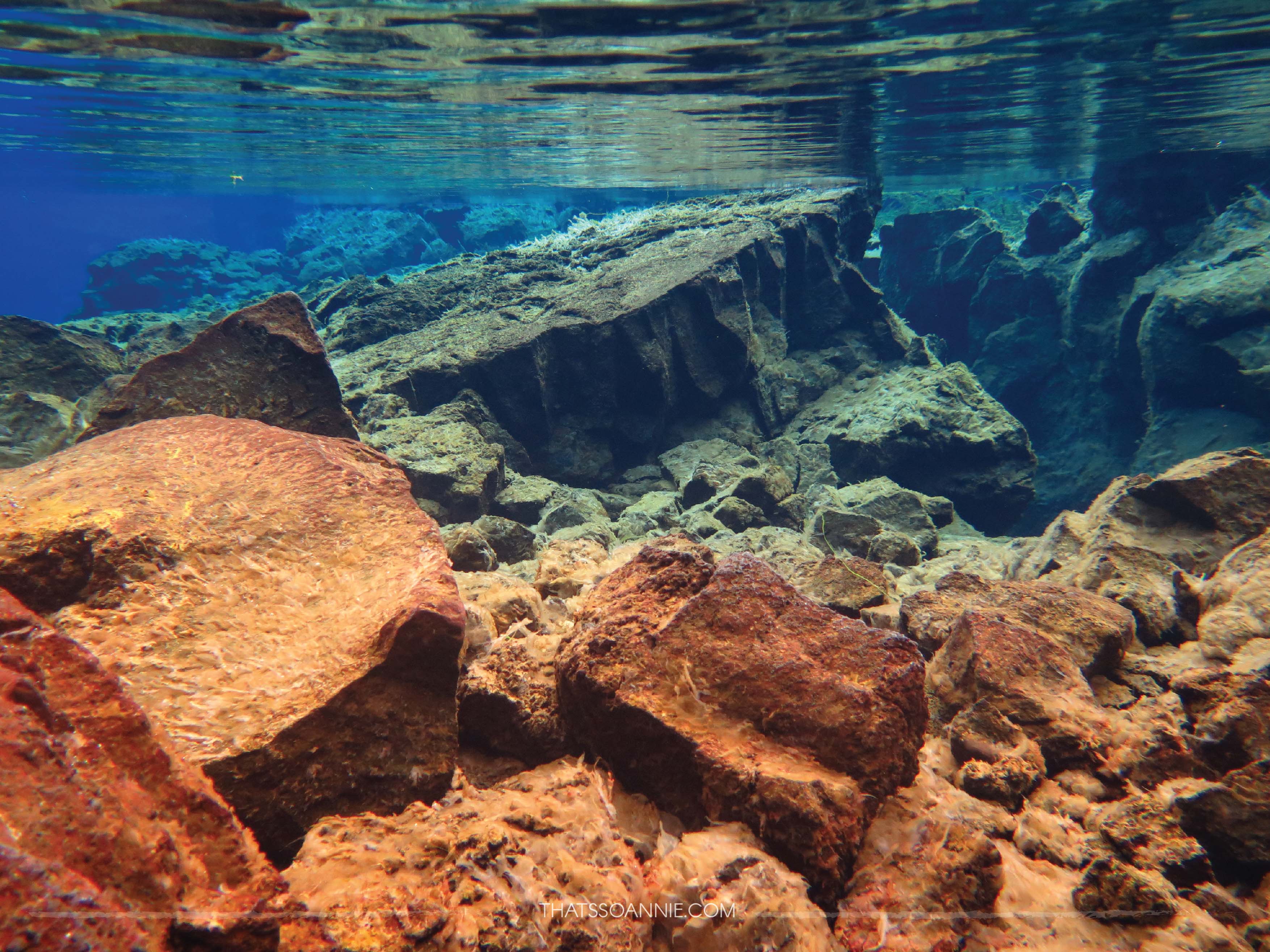 The different hues underwater! Snorkeling between American and Eurasian Tectonic Plates at Silfra Fissure, Iceland | www.thatssoannie.com