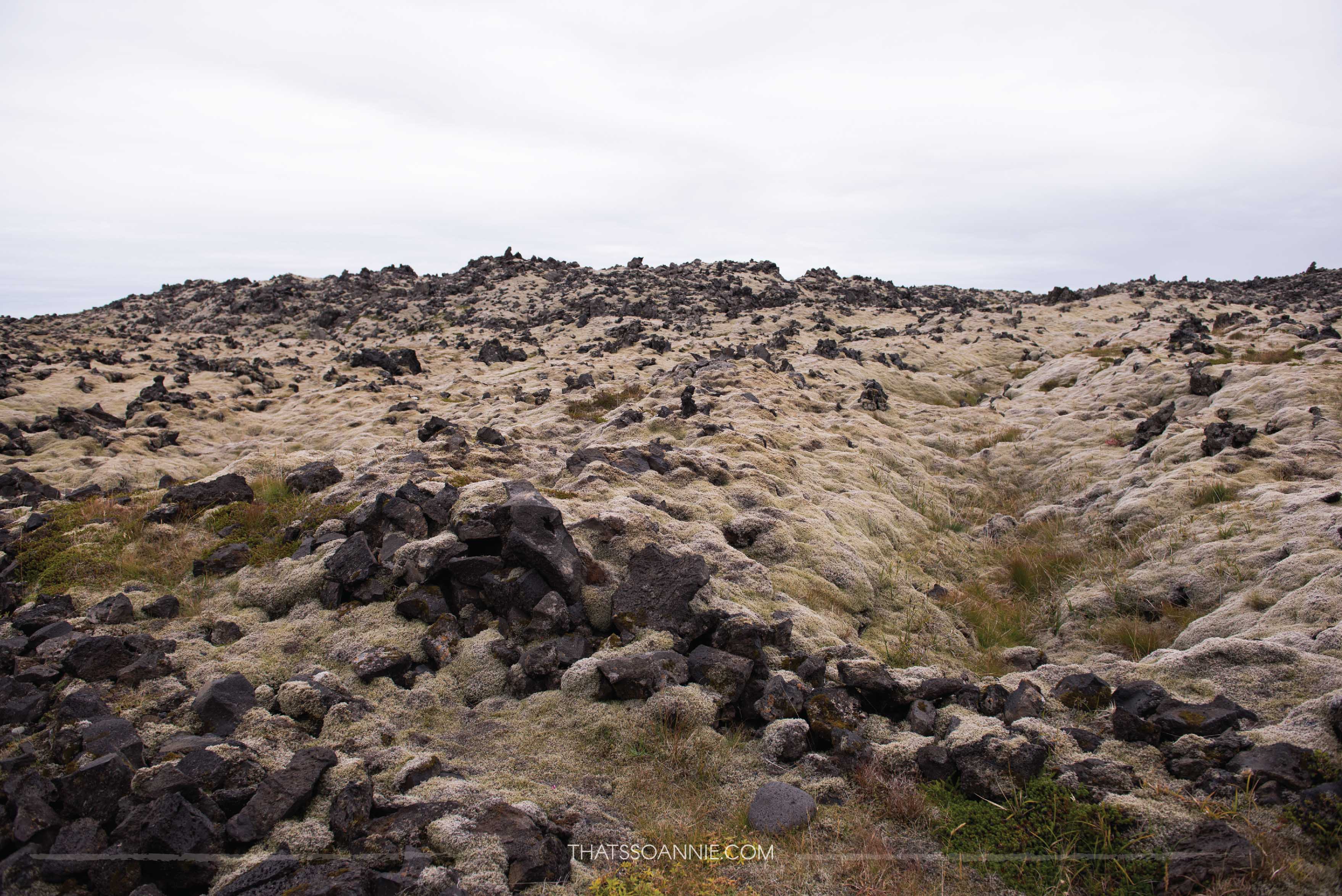 Lava fields while driving towards Djúpalónssandur, a black pebble beach | Exploring the Snæfellsnes Peninsula, Iceland | www.thatssoannie.com