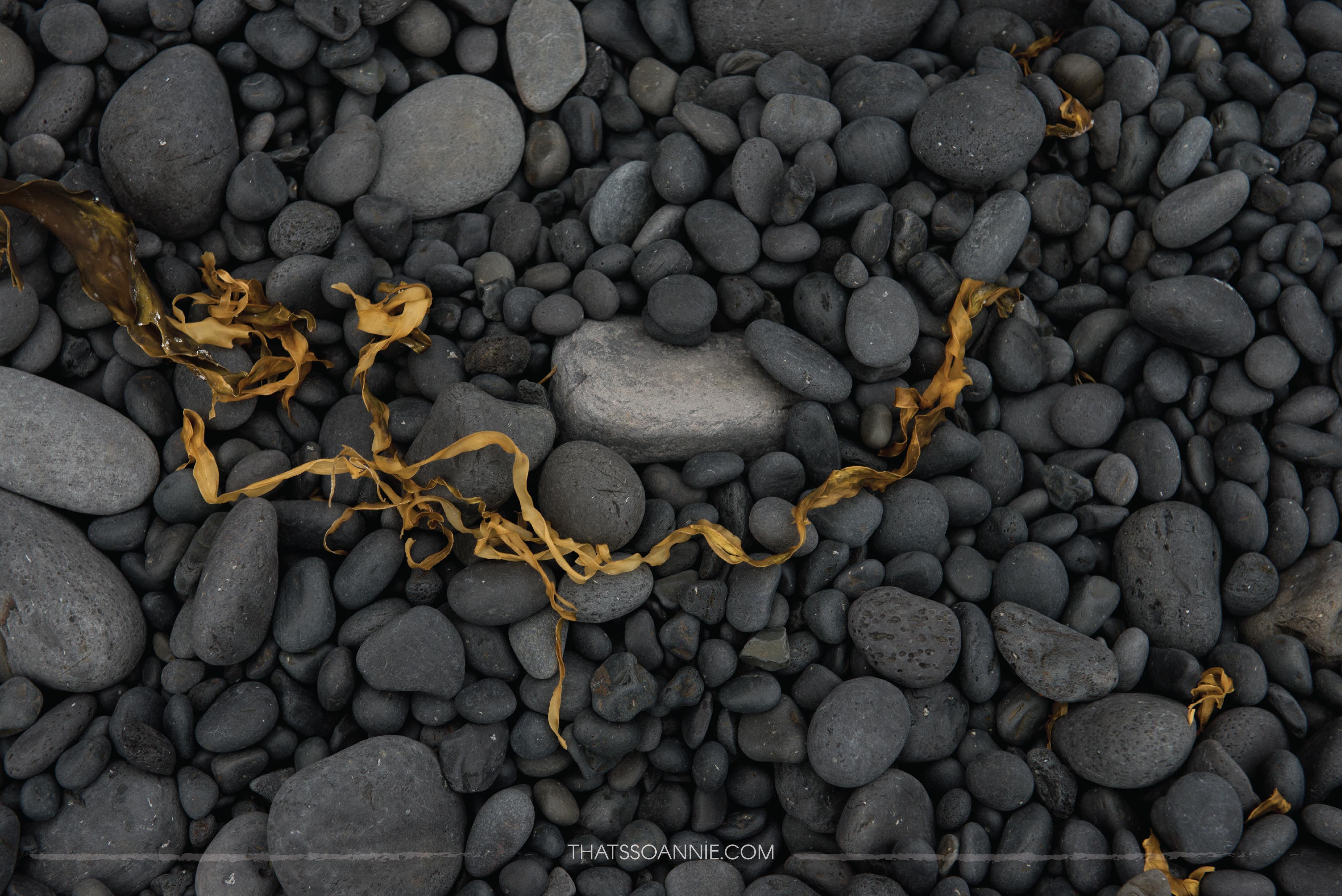 The smooth black pebbles at Djúpalónssandur are called Djúpalónsperlur or the Pearls of Djúpalón | Exploring the Snæfellsnes Peninsula, Iceland | www.thatssoannie.com